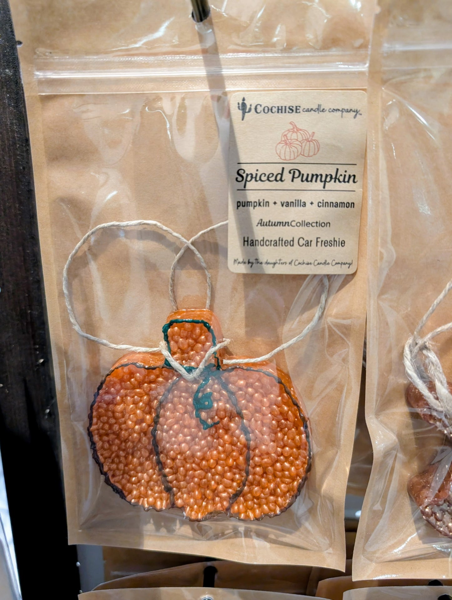 Spiced Pumpkin Car Freshie