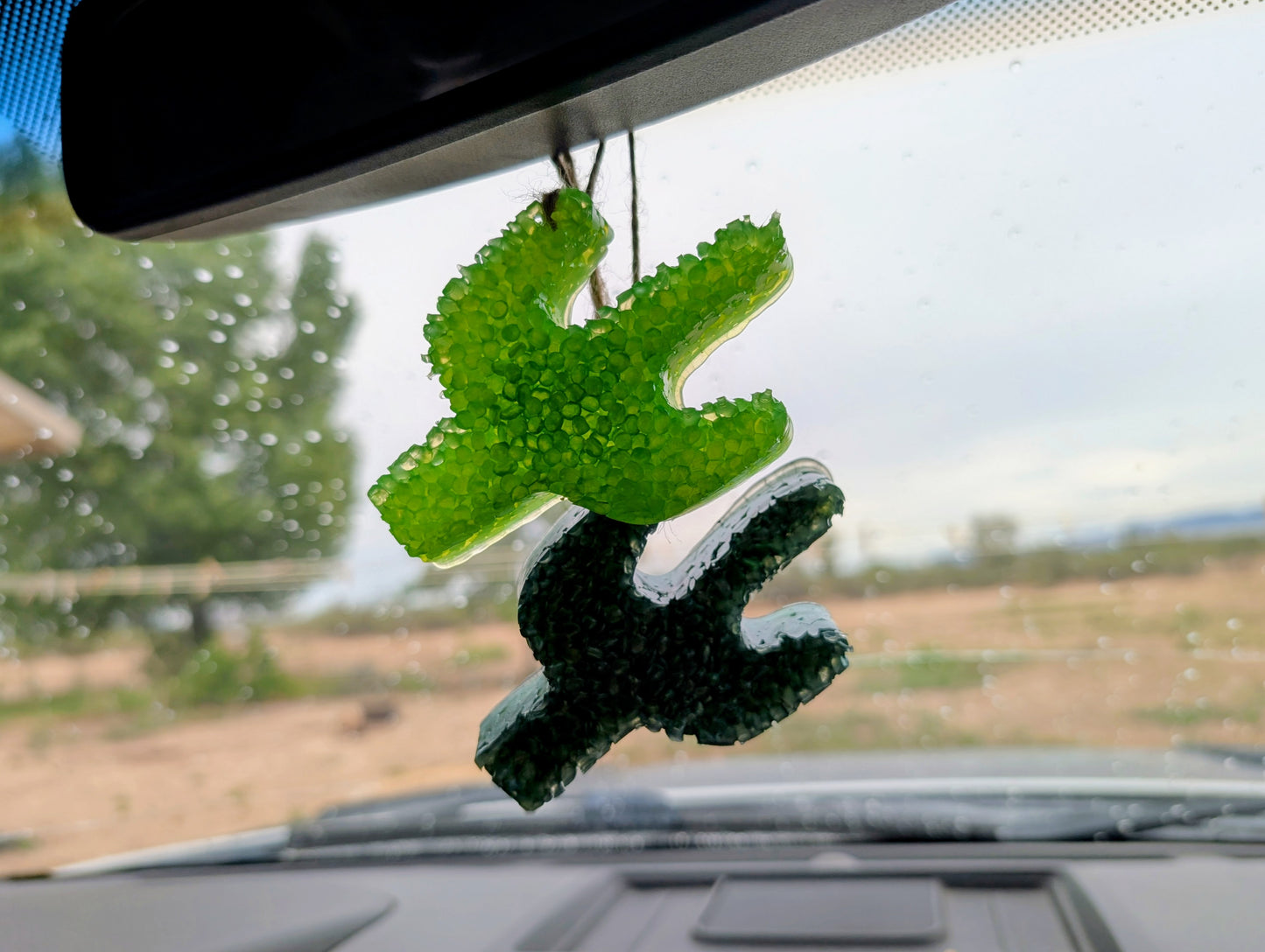 Desert Bloom Car Freshie